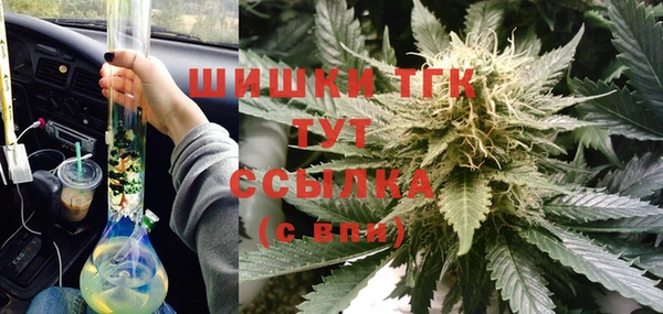 гашик Аркадак