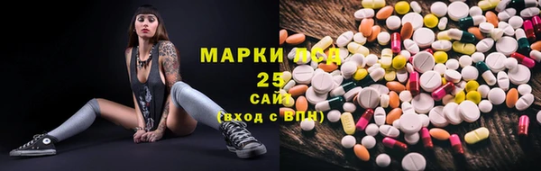 гашик Аркадак