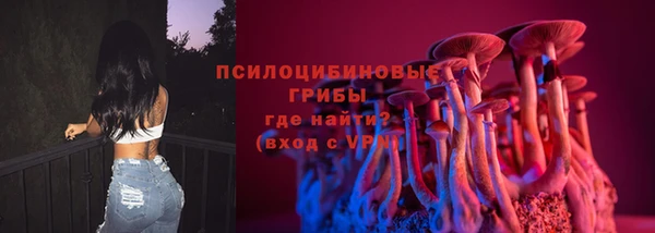 гашик Аркадак