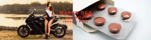 гашик Аркадак