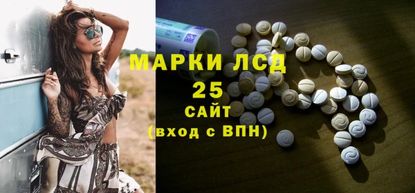 гашик Аркадак