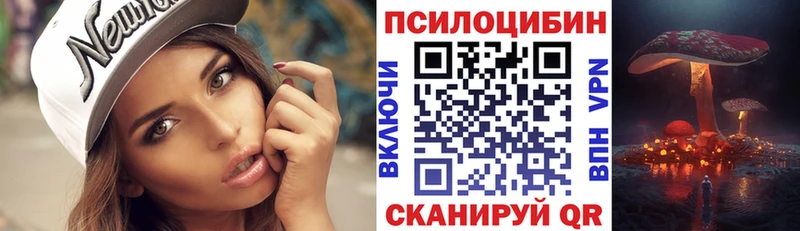 сколько стоит  Нарткала  Галлюциногенные грибы Cubensis 